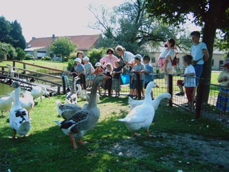 Ferme pédagogique